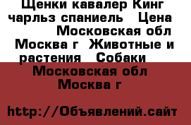 Щенки кавалер Кинг чарльз спаниель › Цена ­ 30 000 - Московская обл., Москва г. Животные и растения » Собаки   . Московская обл.,Москва г.